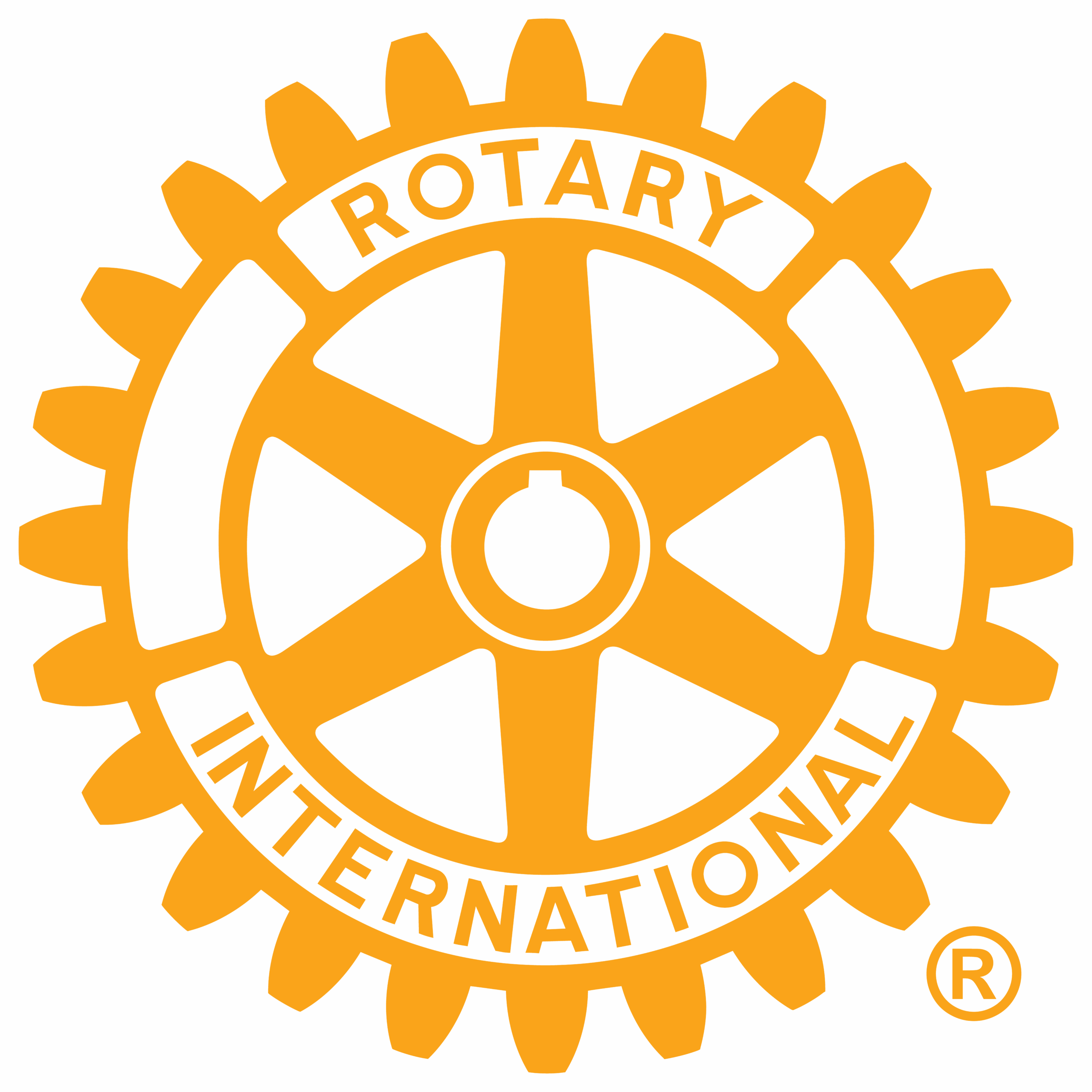 Rotary International gear